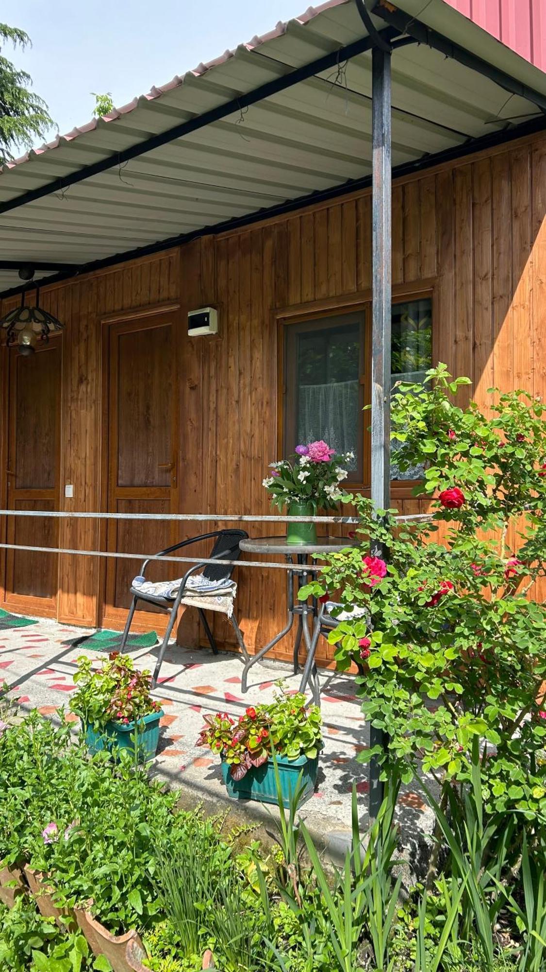Ludwig Guesthouse Lagodehi Exterior foto