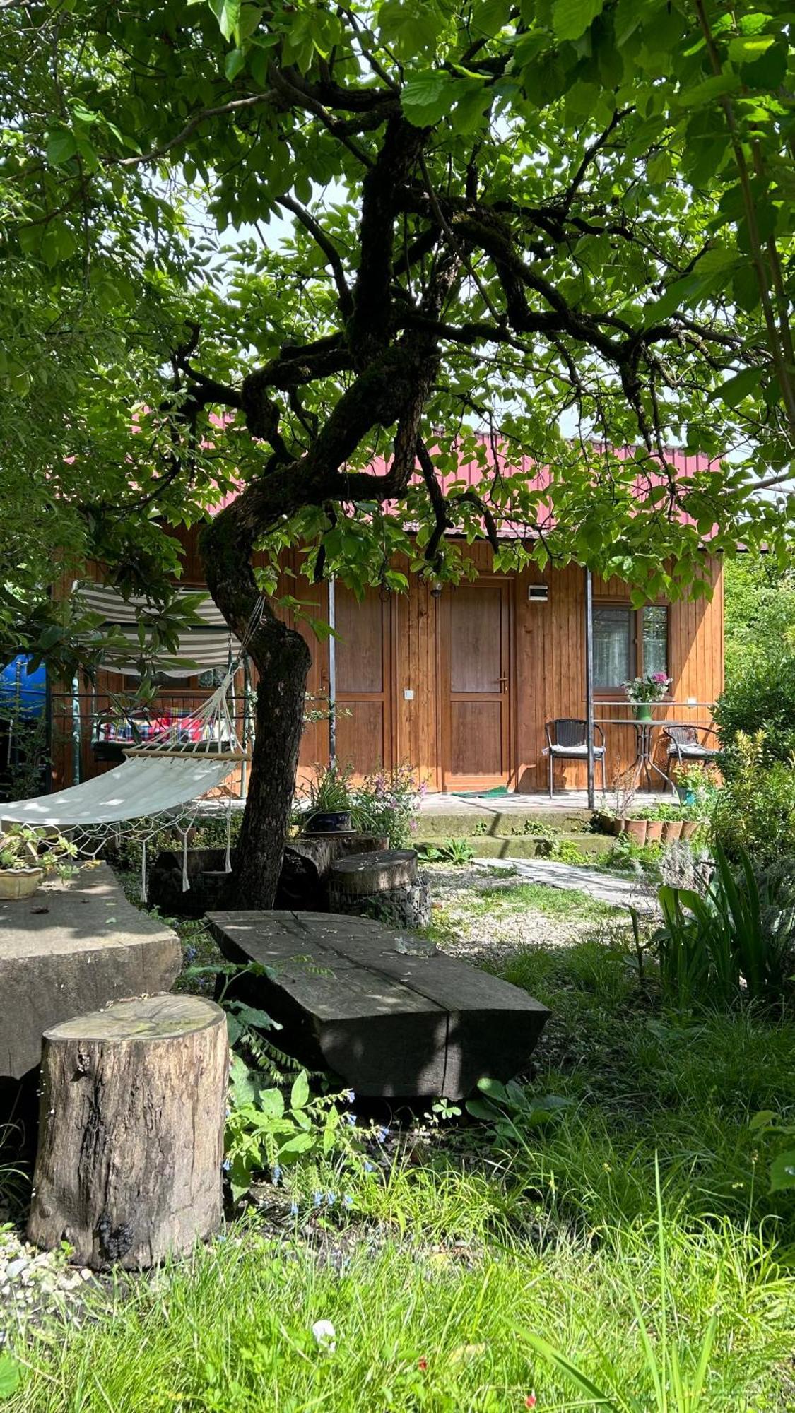 Ludwig Guesthouse Lagodehi Exterior foto