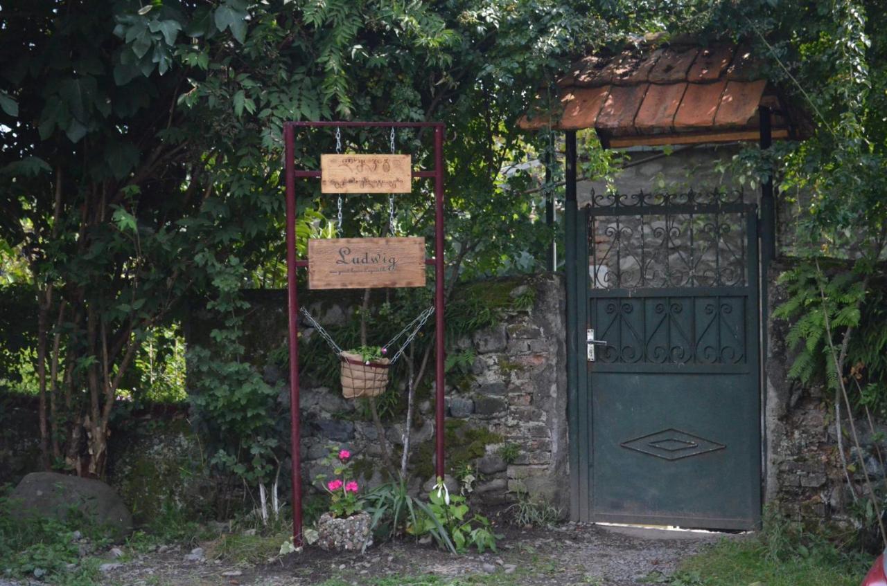Ludwig Guesthouse Lagodehi Exterior foto